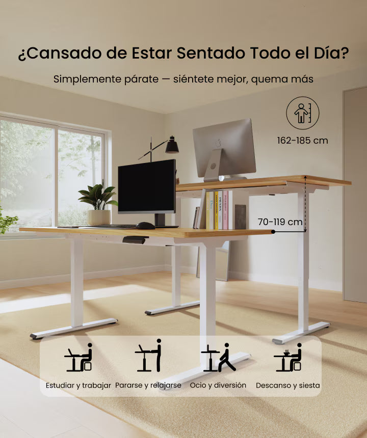 Escritorio Eléctrico Regulable 2motores 220v + Garantia2 Años Flexispot